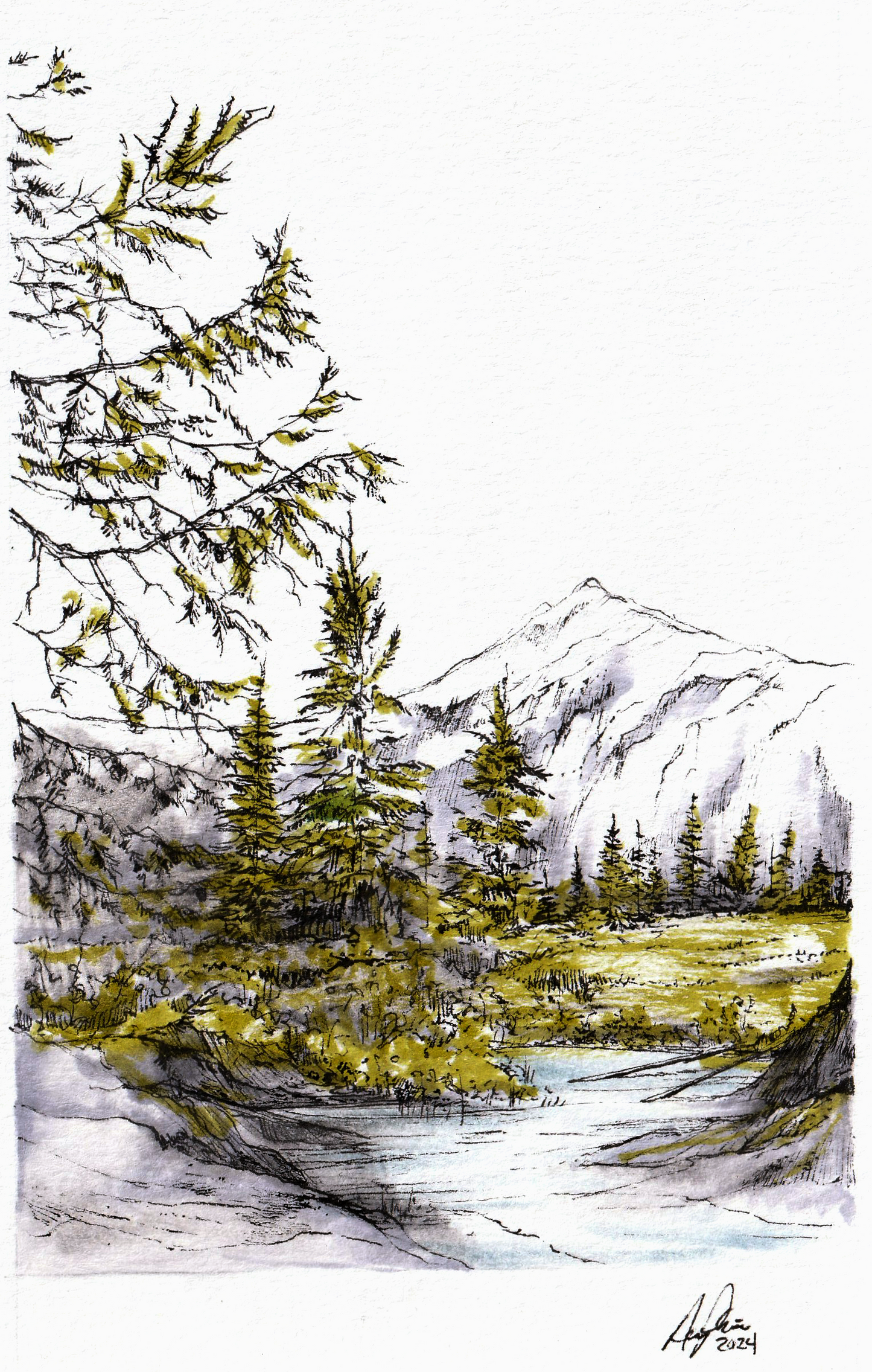 Trapper Creek Alaska 7x5 Illustration by Amanda Pharis